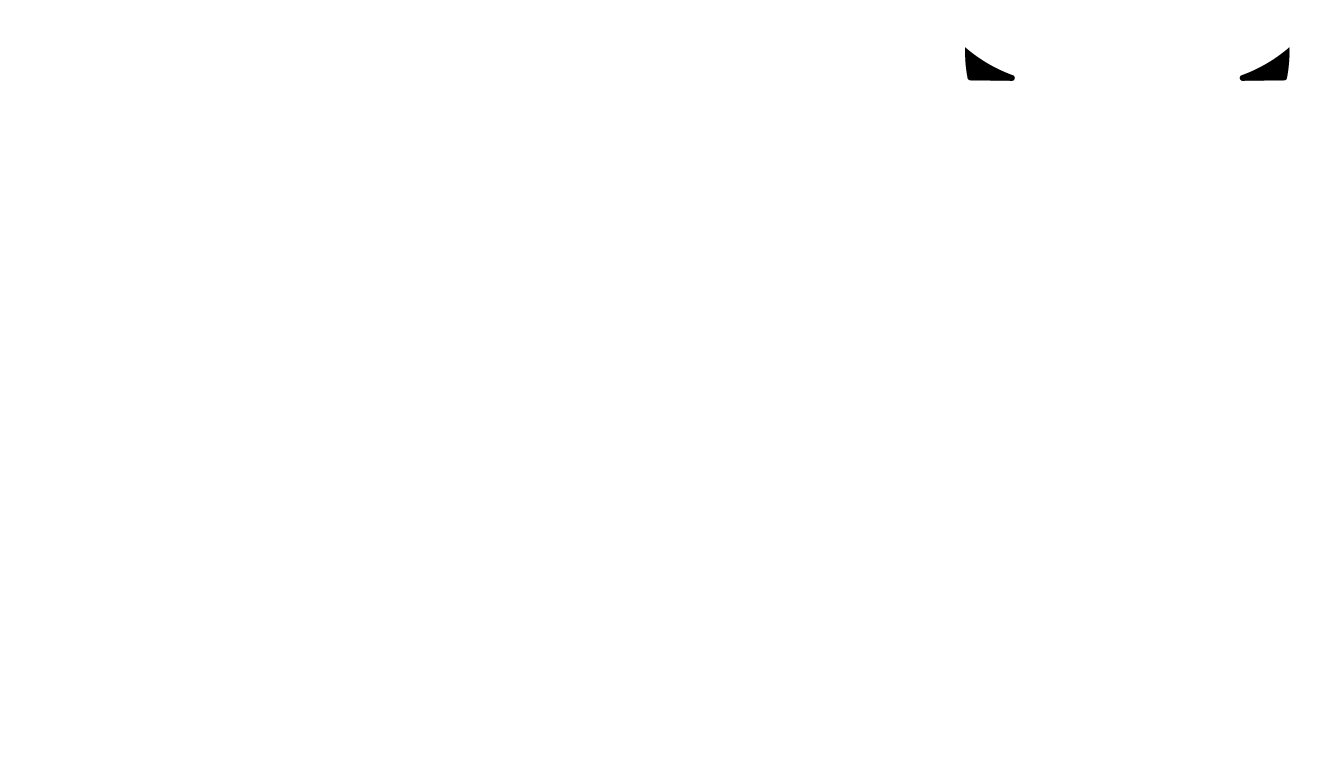 Lynx Creation Logo